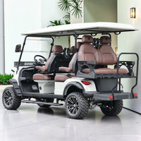 Agate Gray 6 Seater Golf Cart With Dark Brown Seats - 206ah Extended Range Golf Cart LSV