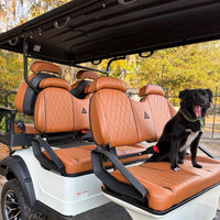 White 6 Seater 206ah Extended Range Golf Cart